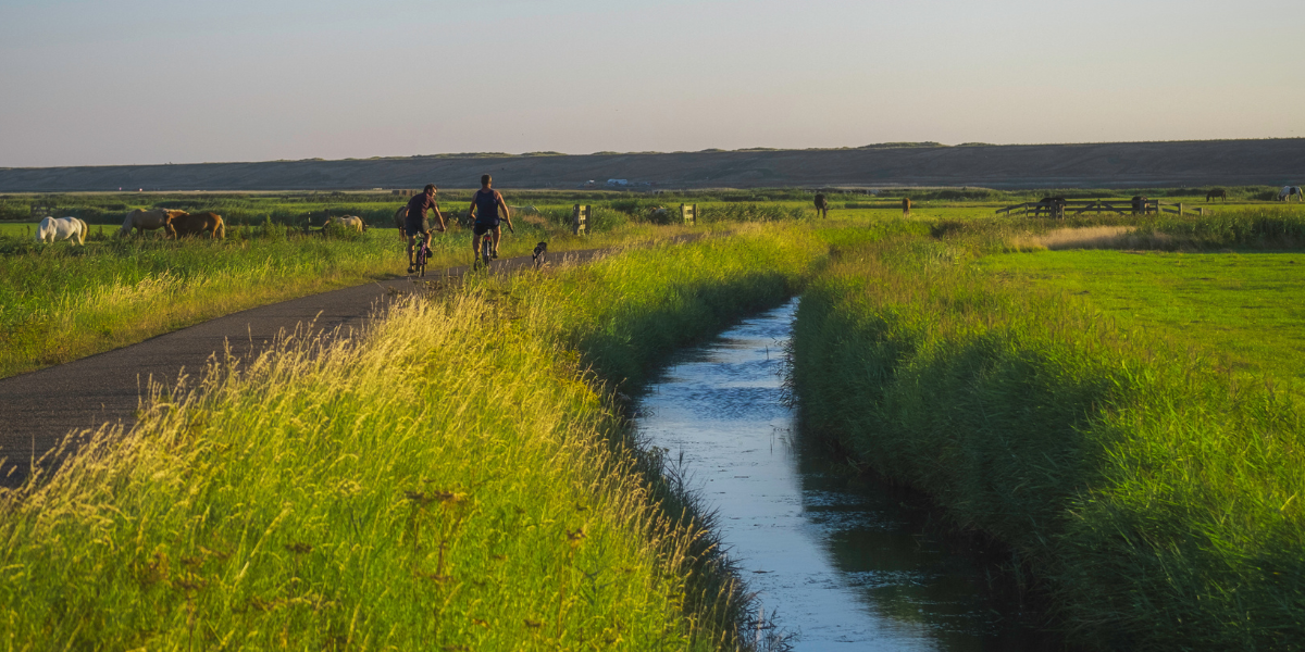 Duindorp Schoorl Magazine